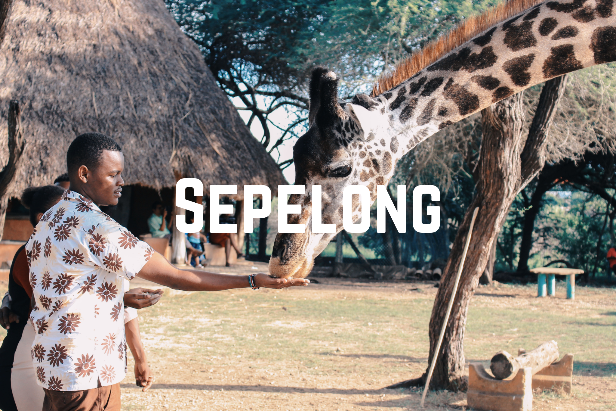 sepelong.html